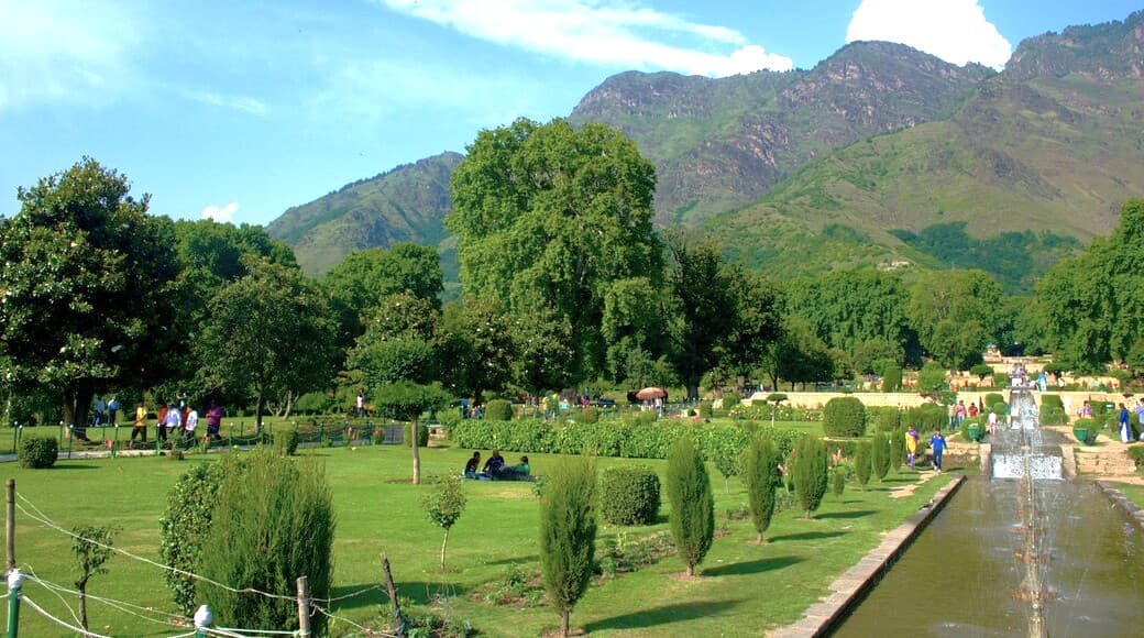 Vibrant terraced flowerbeds and historic fountains inside the Shalimar Mughal Gardens.