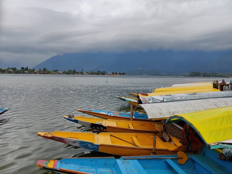A traditional Shikara glides peacefully across the mist-laden Dal Lake at sunrise.