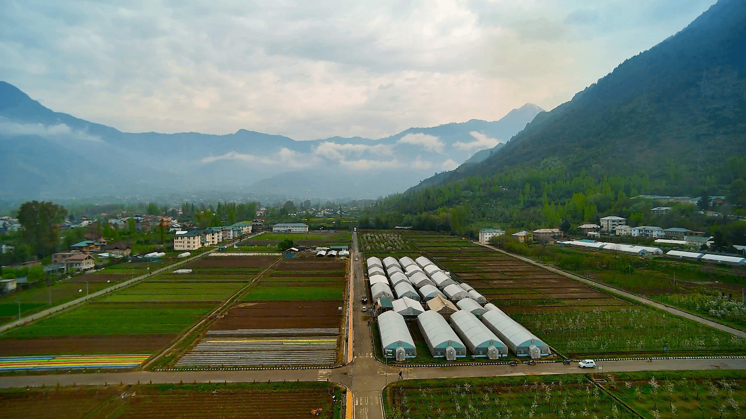 A scenic view of the experimental farming fields at SKUAST-K.